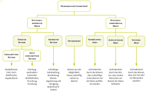 Der ökonomische Gesamtwert. Quelle: TEEB DE - Naturkapital Deutschland.