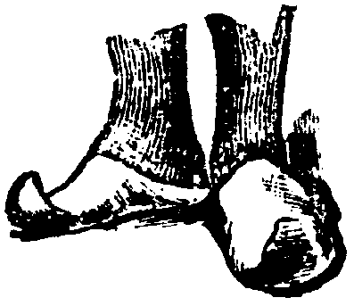 Babusch,_Nordisk_familjebok